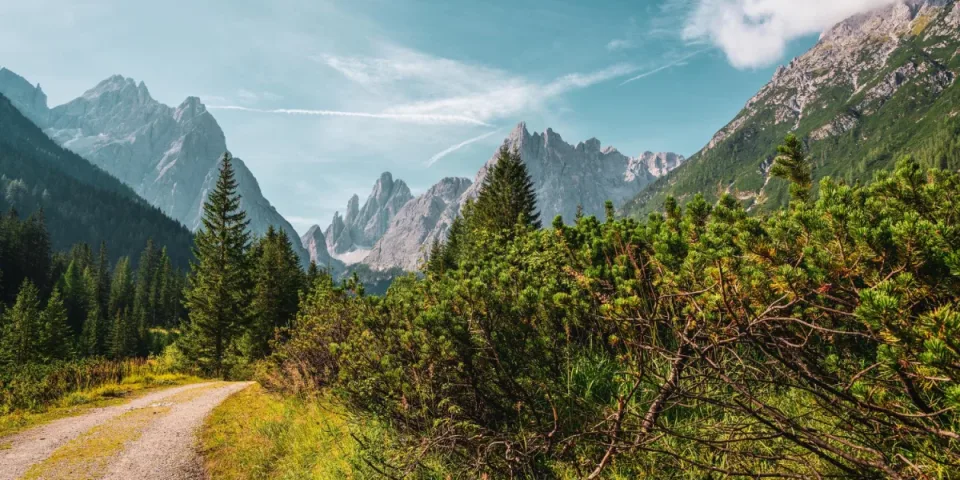 10 błędów, które niszczą pozycję wizytówki Google (i jak je naprawić)